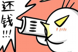 疏勒企业清欠服务